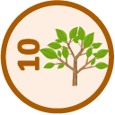 You've earned a badge for reading 10 "Environment" news articles. Read 10 "Environment" News Articles
